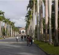 Ntu