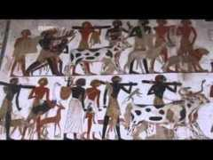 Nubia