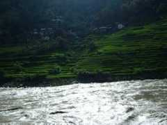 Nujan