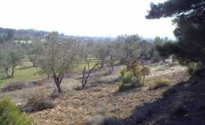 gallipoli.com.tr Nullah