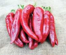 Numex