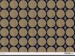 colourlovers.com Numismatic
