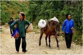 vietnampapyjp.uniterre.com Nungs