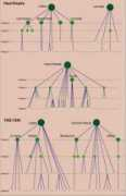 mappemonde.mgm.fr Nuninger