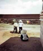 vietnamnet.vn Nunzi