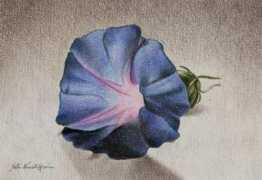 artwanted.com Nuriati