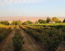 ecotourism-israel.com Nuriel