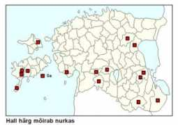 folklore.ee Nurkas