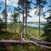 maaseutumaisemat.fi Nurmes
