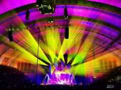 phishthoughts.com Nusinov
