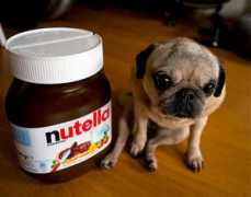 hypervocal.com Nutella