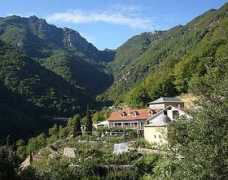 crestinortodox.ro Nutescu