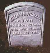 14thbrooklyn.info Nuthmann
