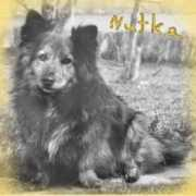 coeurcanin.com Nutka