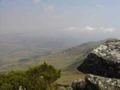 Nyangani