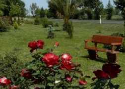 panoramio.com Nyari