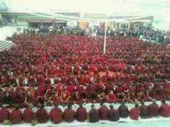 savetibet.org Nyatso