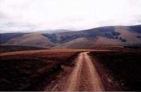 Nyika