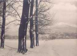 arpad.lapok.hu Nyitra