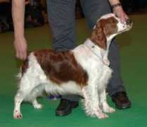 annhelen.com Nyliram