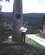 hamsun.at Nyrnes