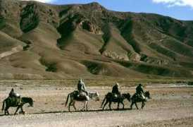 Nzala