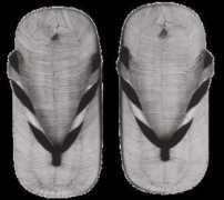 skioakenfull.com Oakenfull