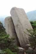 Obare