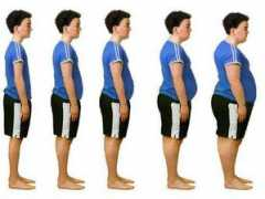 topnews.in Obesity