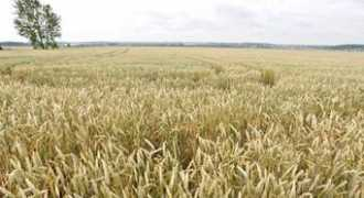 aktualne.atlas.sk Obilia