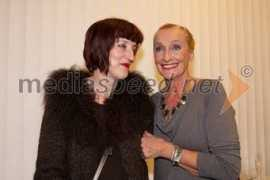 mediaspeed.net Obolnar