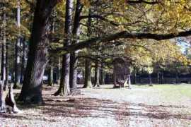 panoramio.com Obora