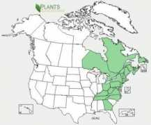 ontariowildflowers.com Ocac