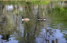 objetivomalaga.diariosur.es Ocas