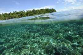 scienze.fanpage.it Oceani