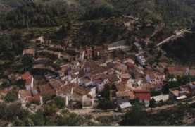 Ocino