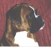 ravel-online.ch Odisseus