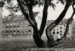 Odra