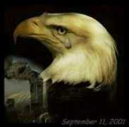 aaathemes.com Oef