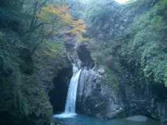 Ogama