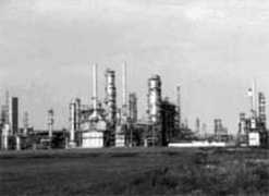 indukult-vereine.de Ohse