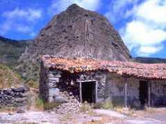 Ojila