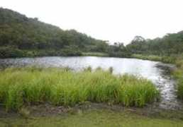 yamashijimi.com Ojoro