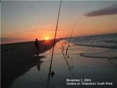 fishtradewinds.com Oksun
