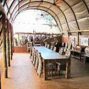 okavangodelta-safari.com Okuti