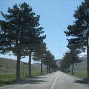 meaculpa.it Olaci