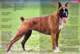 dartigsiberg.free.fr Olady