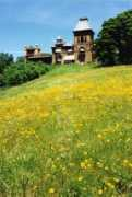 Olana