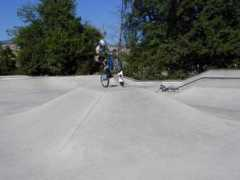 skateoregon.com Olandese