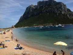 Olbia